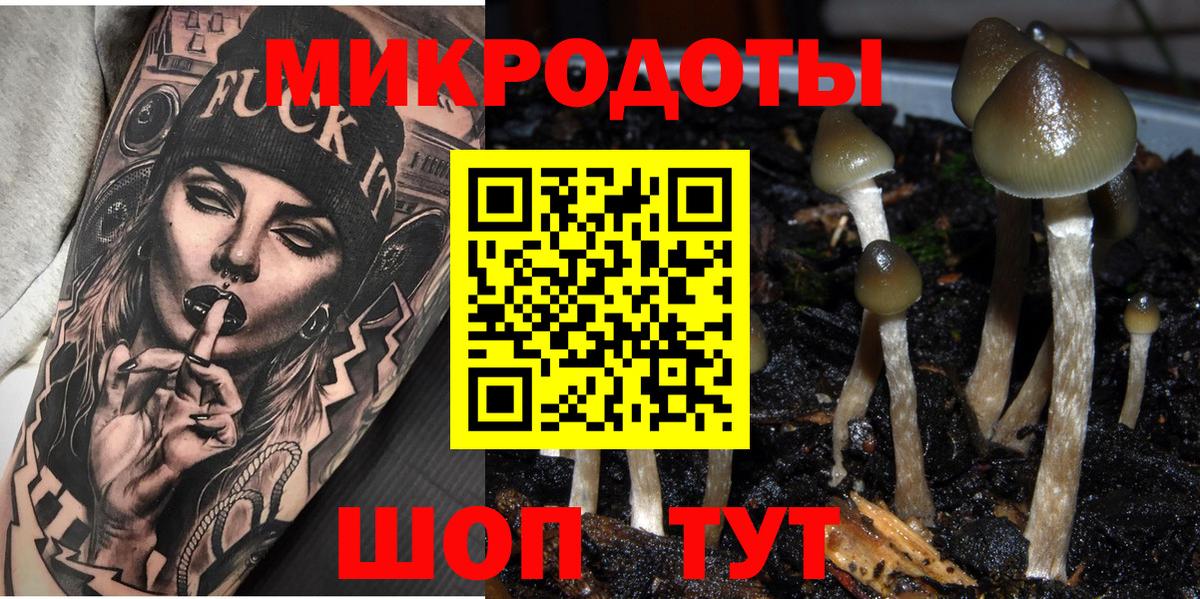 Новозыбков  Галлюциногенные грибы Psilocybe  Вход с VPN 